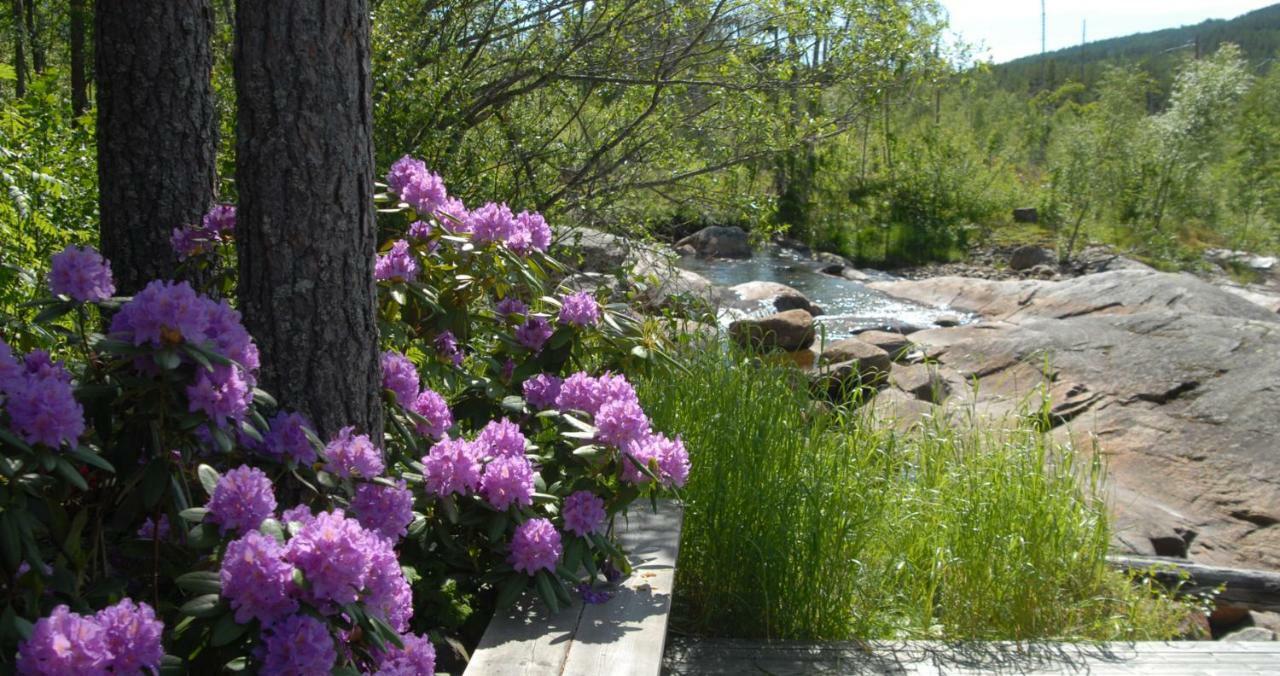 Fossumsanden Camping Og Hytter Fyresdal ภายนอก รูปภาพ